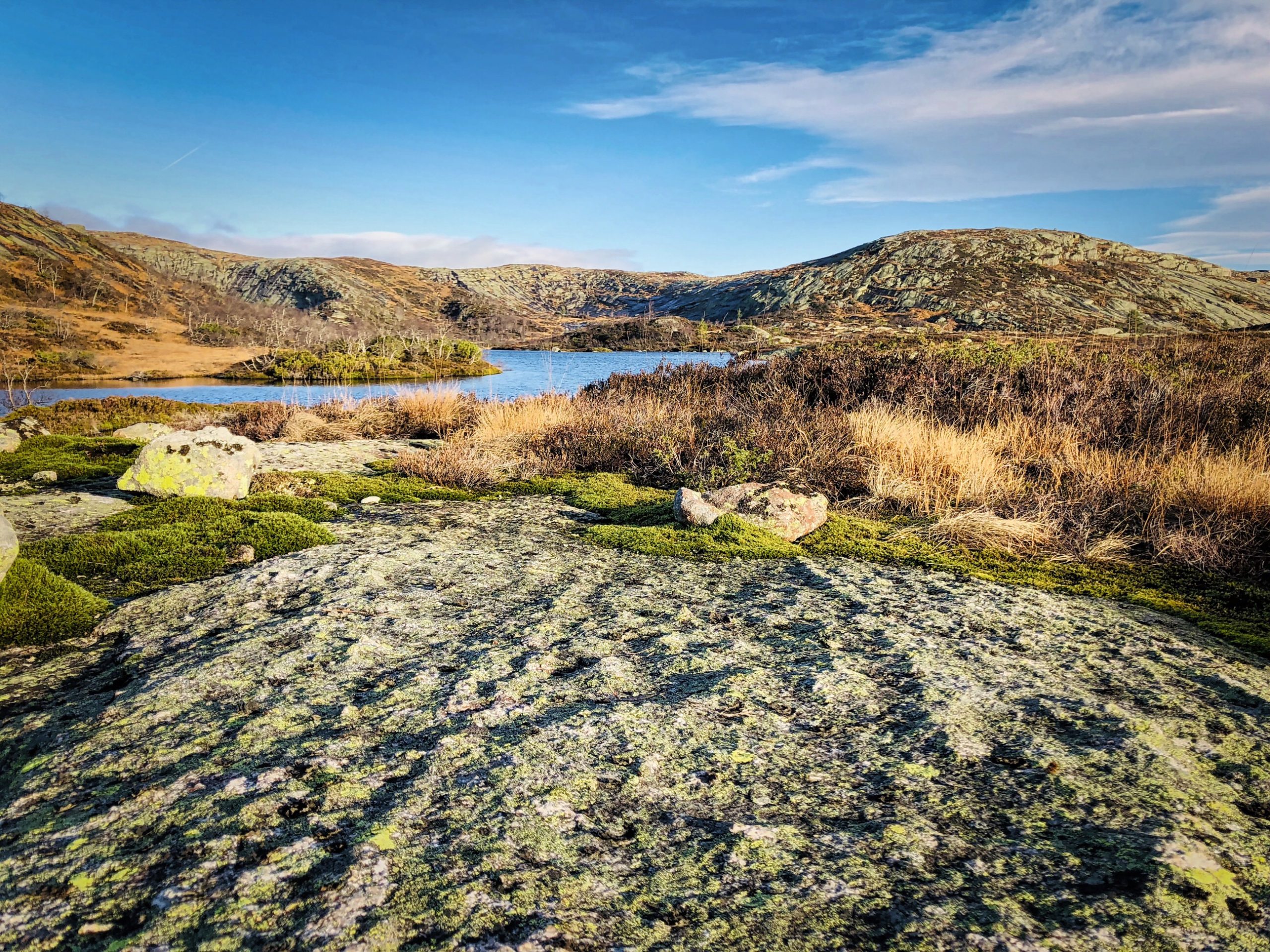OC Norwegen Event Nature scaled